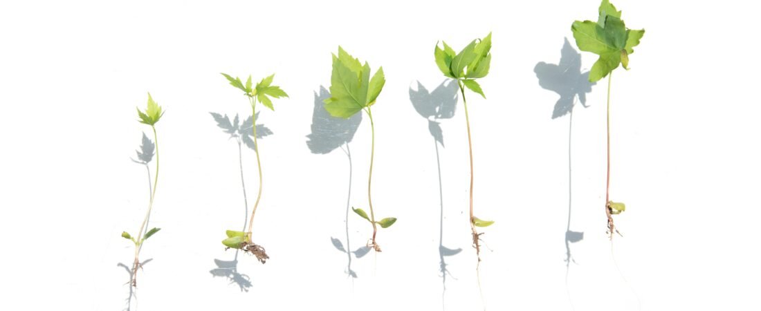 Small Daily Habits That Help You Thrive